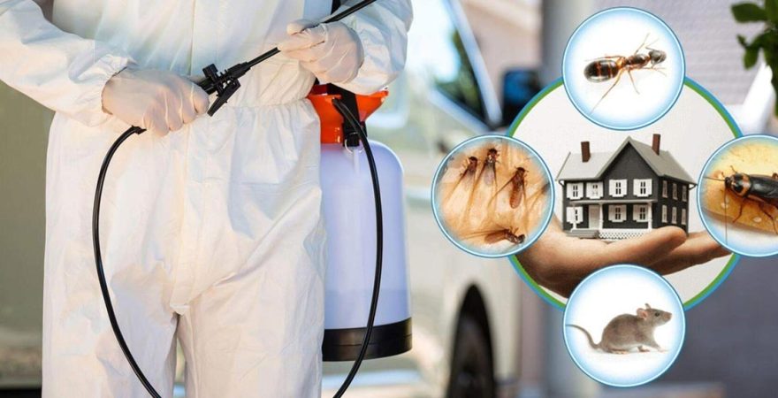 Emirdağ Böcek İlaçlama