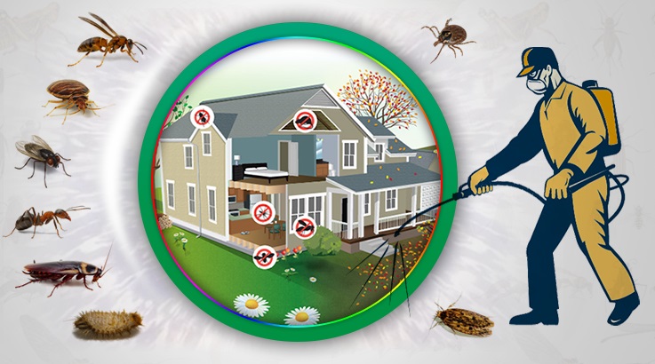 Emirdağ Böcek İlaçlama