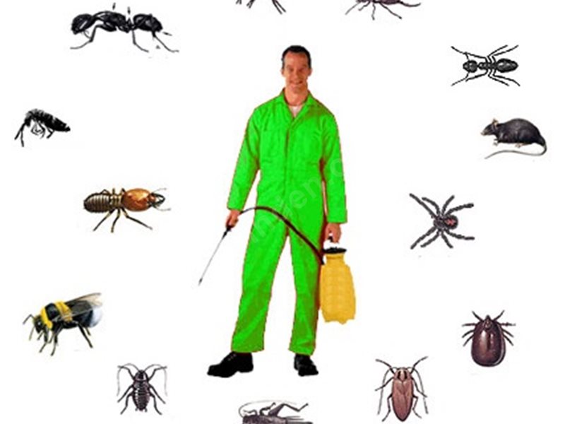 Emirdağ Böcek İlaçlama